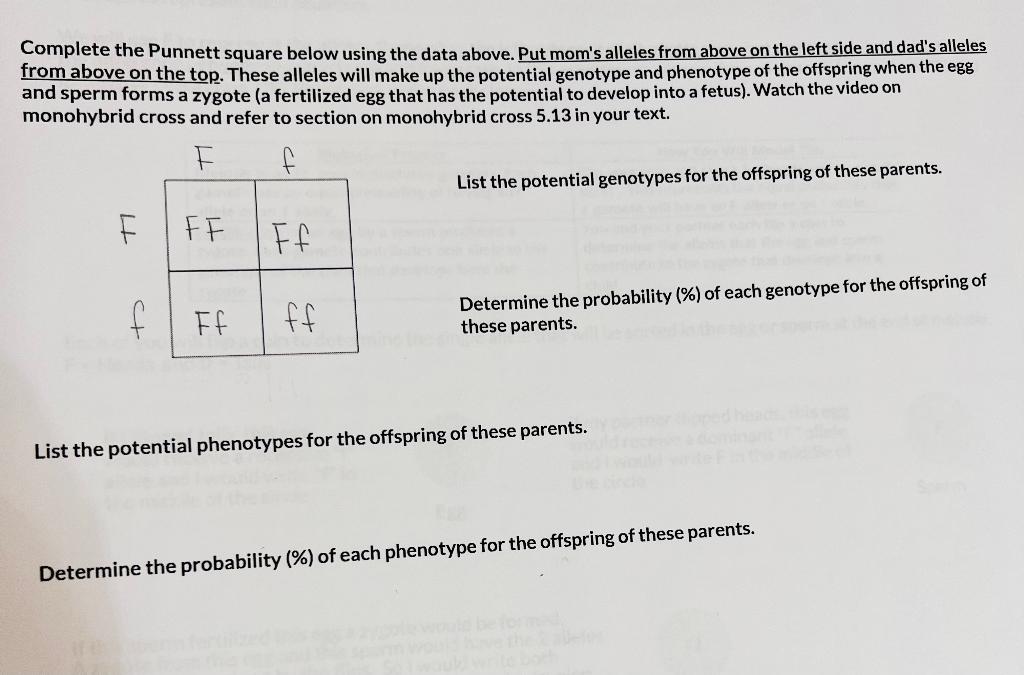 Solved Complete the Punnett square below using the data | Chegg.com