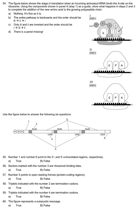 Solved 36. Which of the following might decrease the | Chegg.com