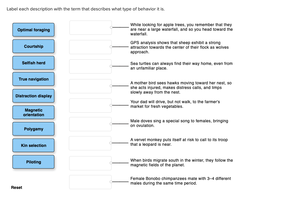 solved-label-each-description-with-the-term-that-describes-chegg