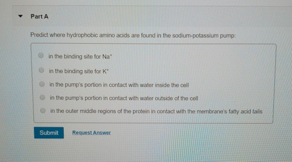 where are hydrophobic amino acids found where are hydrophobic amino acids found