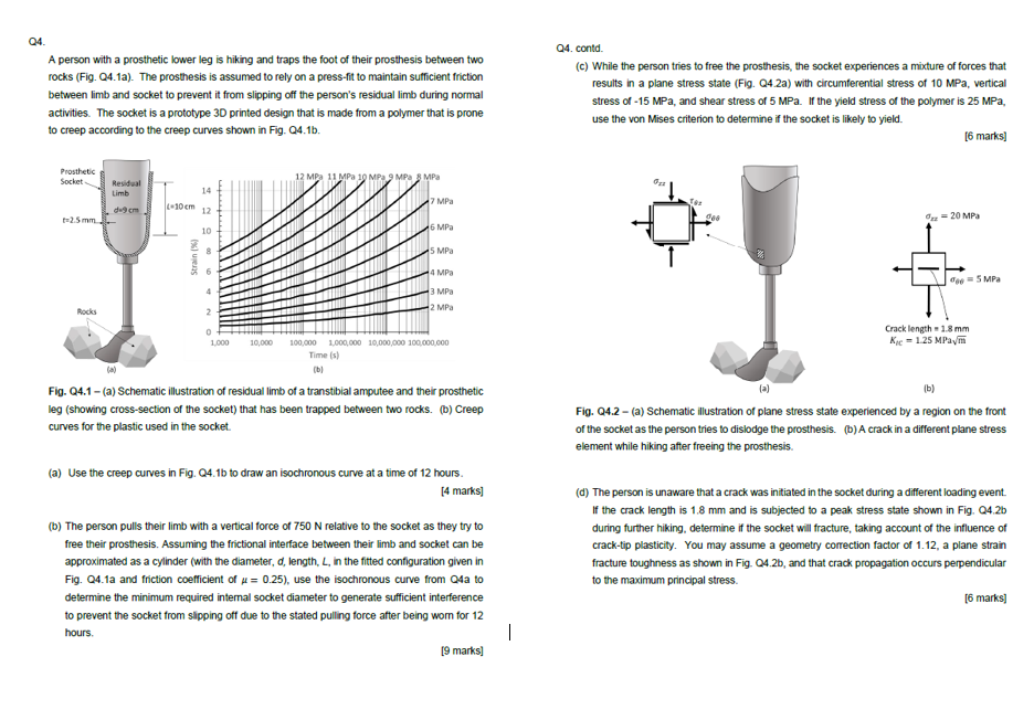 04. Contd. A Person With A Prosthetic Lower Leg Is | Chegg.com