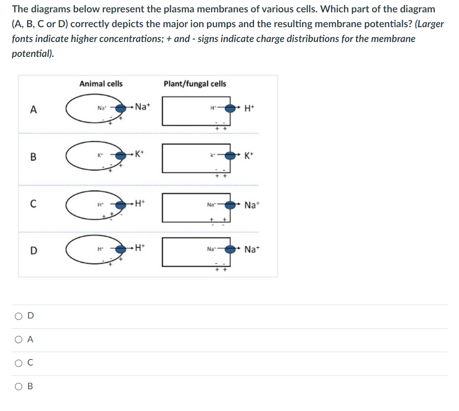 Solved The diagrams below represent the plasma membranes of | Chegg.com