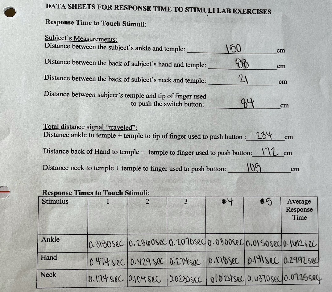 Solved What is sensorymotor integration? Is there a