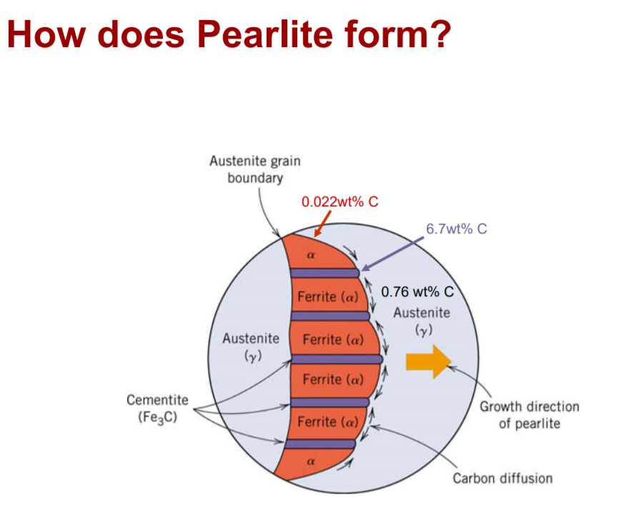 Solved How does Pearlite form? Austenite grain boundary