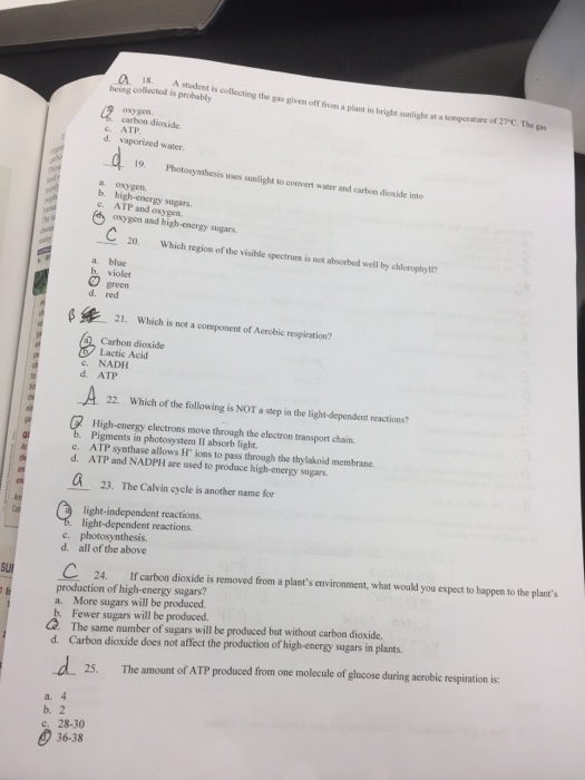 Solved A Student Is Collecting The Gas Given Off From A B...