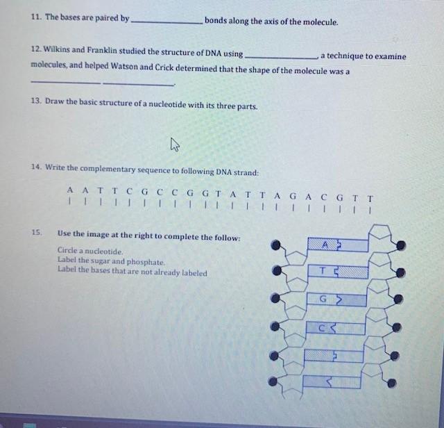 solved-1-what-do-the-letters-dna-stand-for-cytowe-dna-chegg