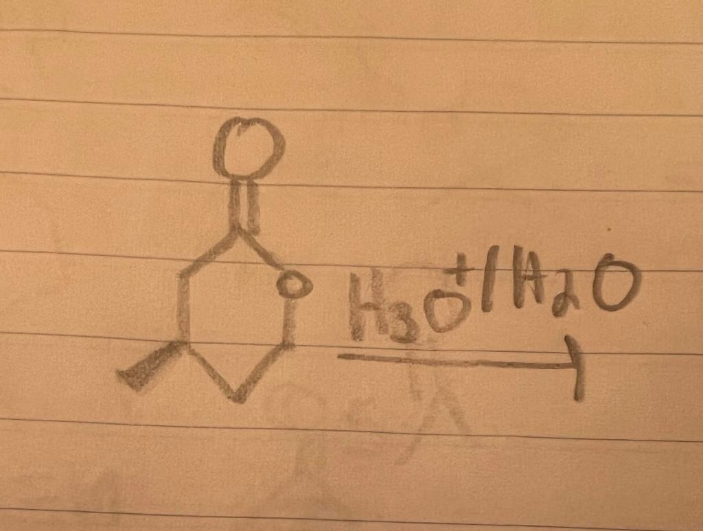 Solved H3O+H2O | Chegg.com