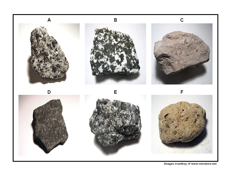 Solved Station 2: Igneous Rocks The following table shows | Chegg.com