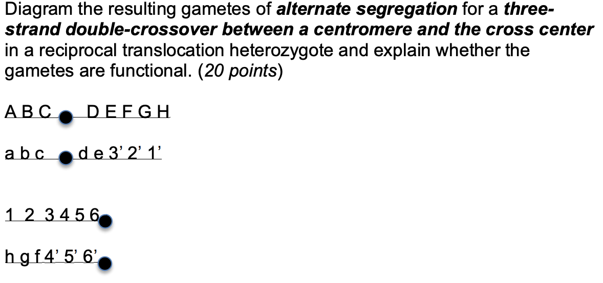 Diagram The Resulting Gametes Of Alternate Chegg Com