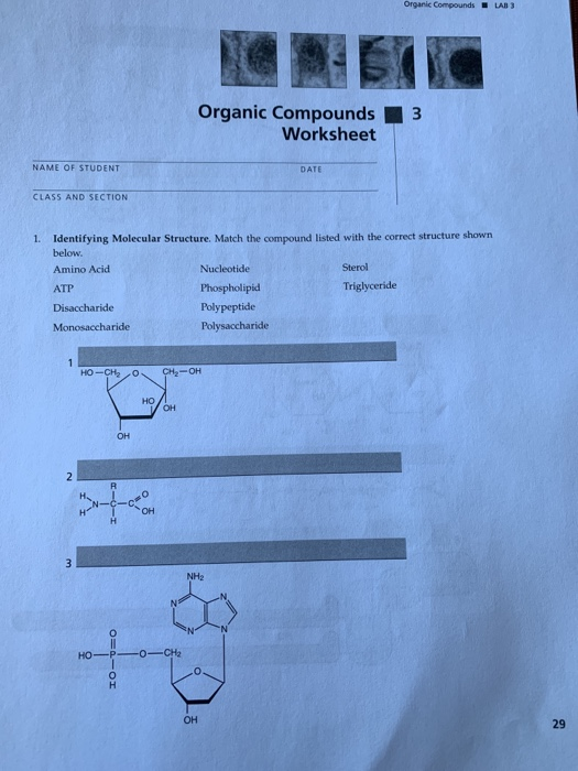 solved-organic-compounds-lab-3-organic-compounds-3-worksheet-chegg