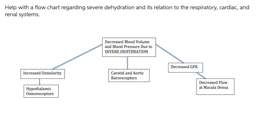 Dehydration deals blood pressure