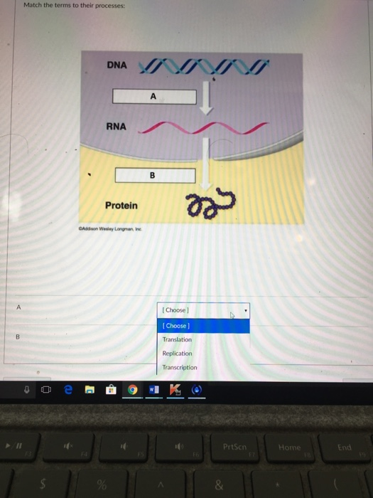 Solved Question 1 The Central Dogma of Biology for the flow | Chegg.com