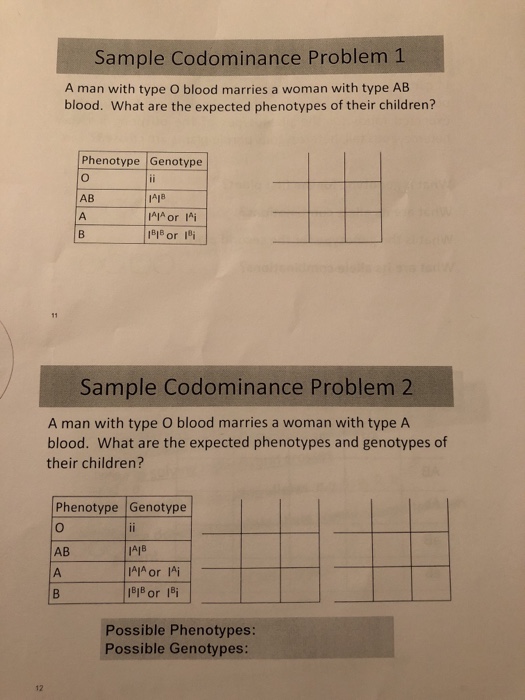Solved Sample Codominance Problem 1 A man with type O blood | Chegg.com