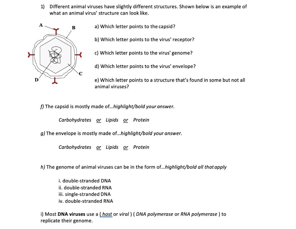 Solved 1 Different Animal Viruses Have Slightly Different Chegg Com