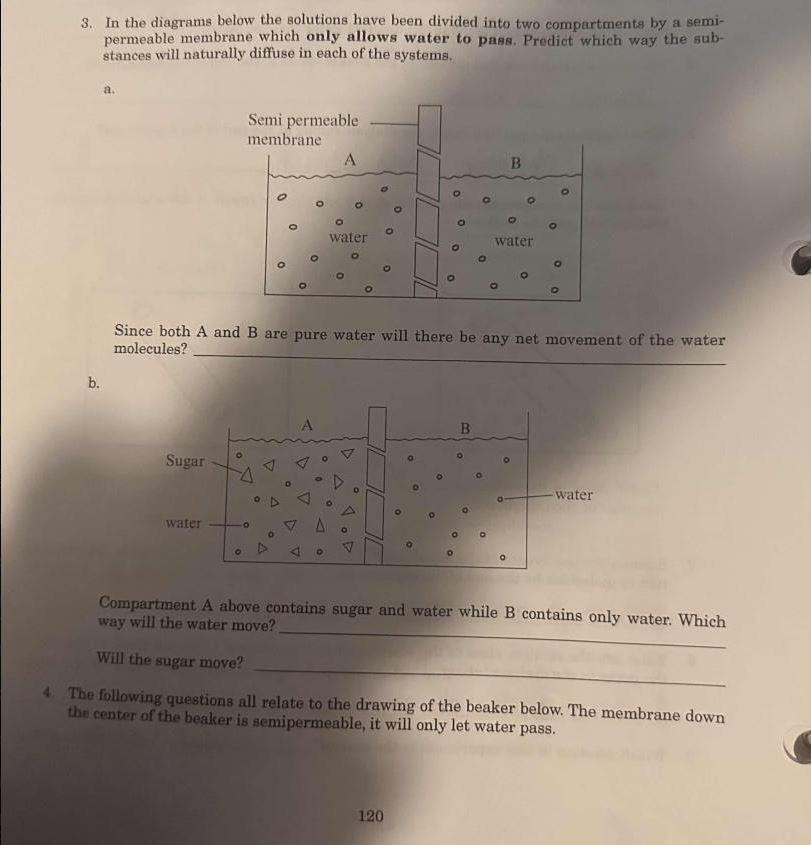 Solved 3. In the diagrams below the solutions have been
