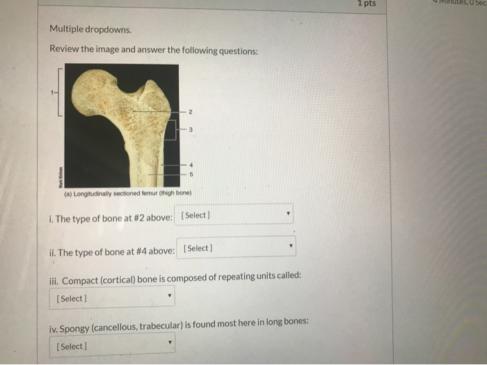 Solved Fill In Multiple Blanks. Students Must Type Correct | Chegg.com