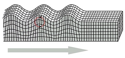 Solved 6. Which type of seismic wave is highlighted in the | Chegg.com