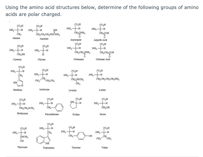 Solved Using The Amino Acid Structures Below Determine Which