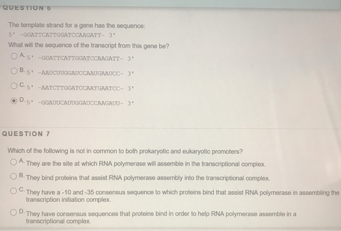 Solved QUESTION The template strand for a gene has the | Chegg.com