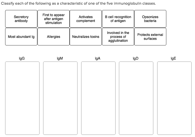 Solved Classify each of the following as a characteristic of | Chegg.com