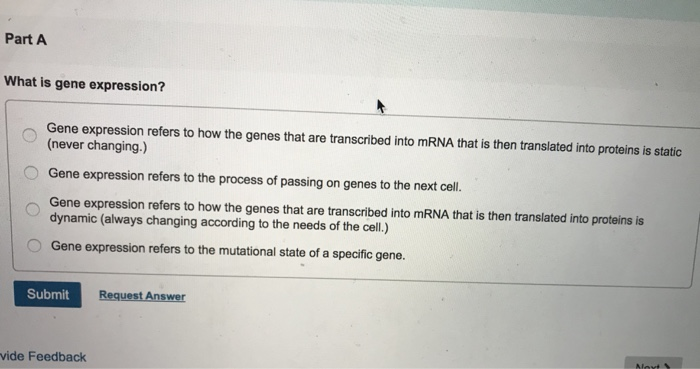 Solved m 17 Part A What type of mutation leads to a | Chegg.com