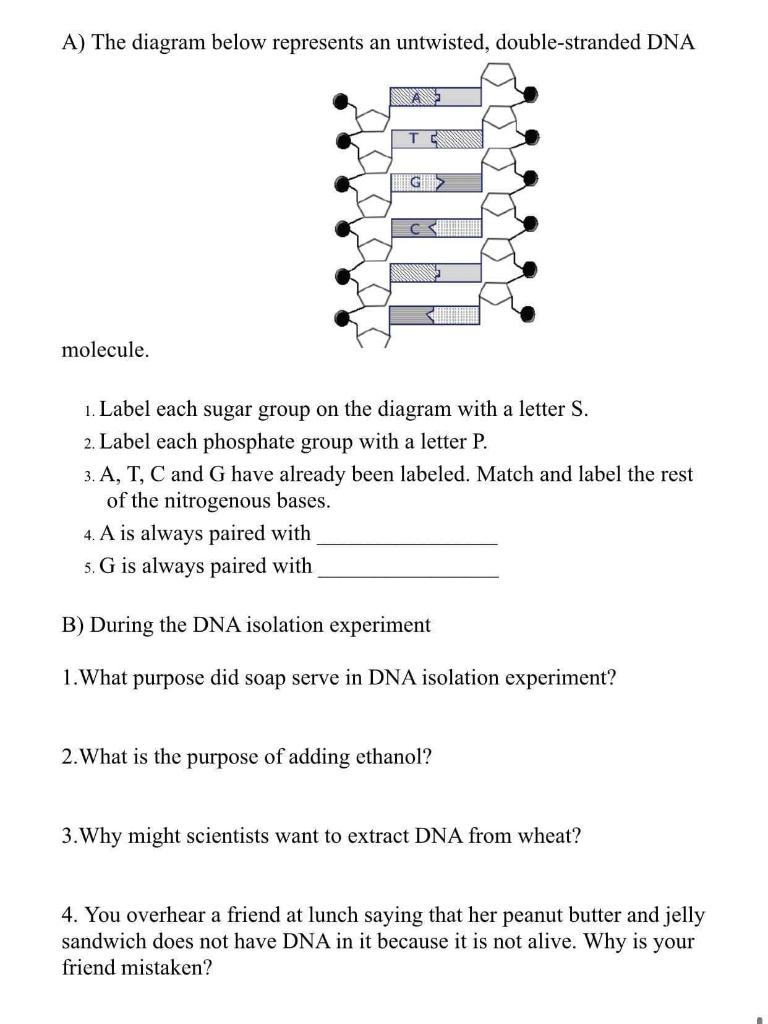 Solved A) The diagram below represents an untwisted, | Chegg.com