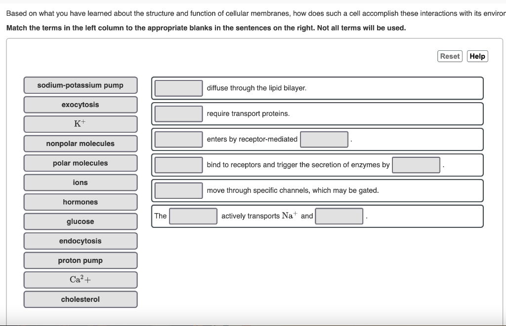 Solved Based on what you have learned about the structure | Chegg.com
