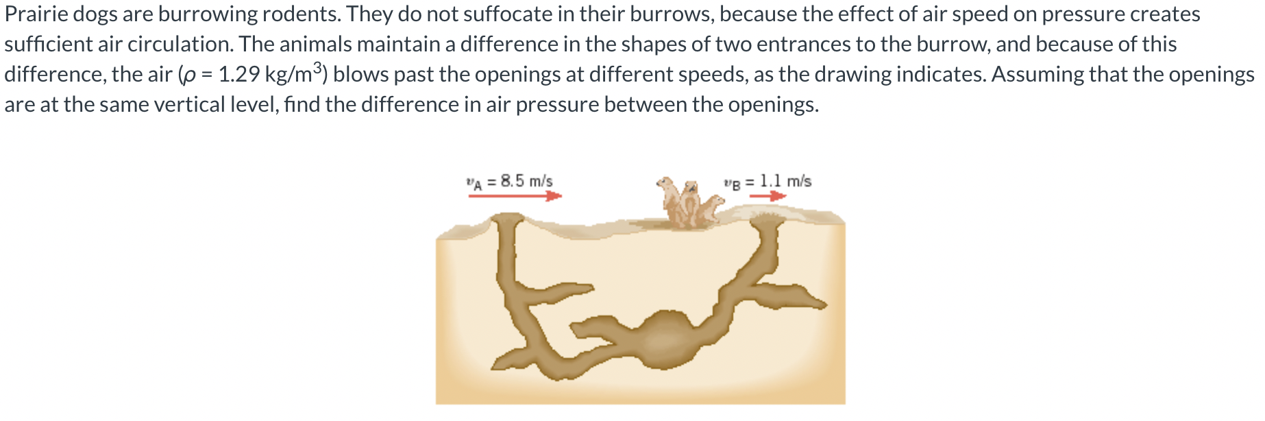 Solved Prairie dogs are burrowing rodents. They do not