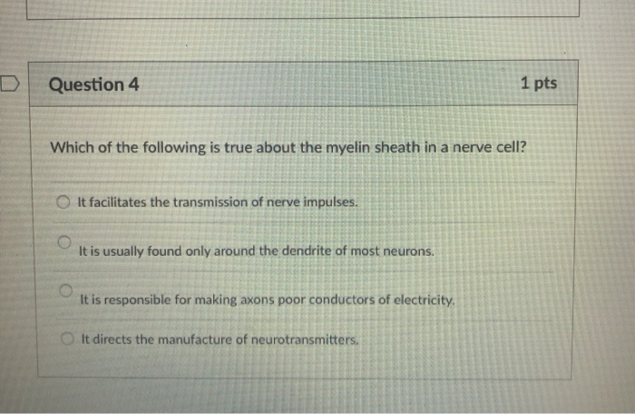Solved DI Question 4 1 pts Which of the following is true | Chegg.com