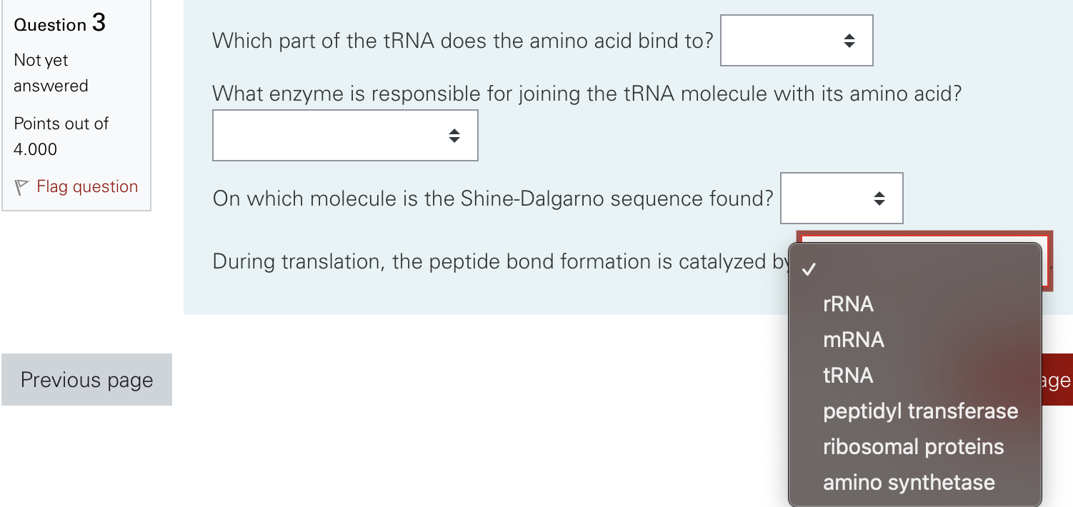 Solved Which part of the tRNA does the amino acid bind to?