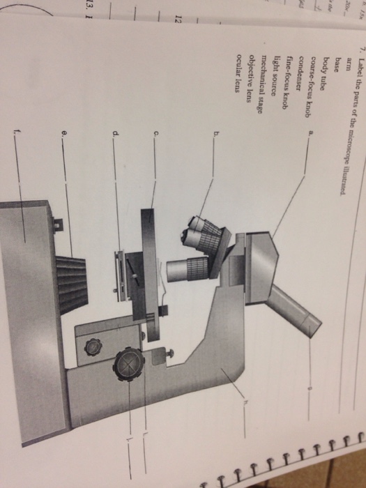 Solved Label the parts of the microscope illustrated. arm | Chegg.com