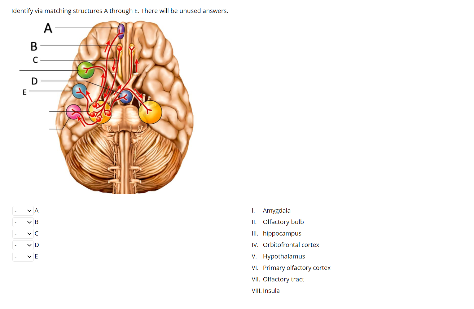 Solved Identify via matching structures A through E. There | Chegg.com