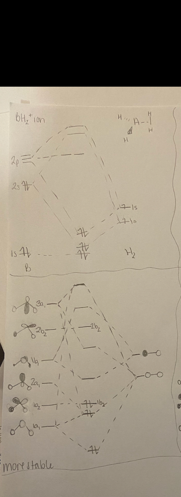 The BH2+ ion diagram is for the Lewis structure with | Chegg.com