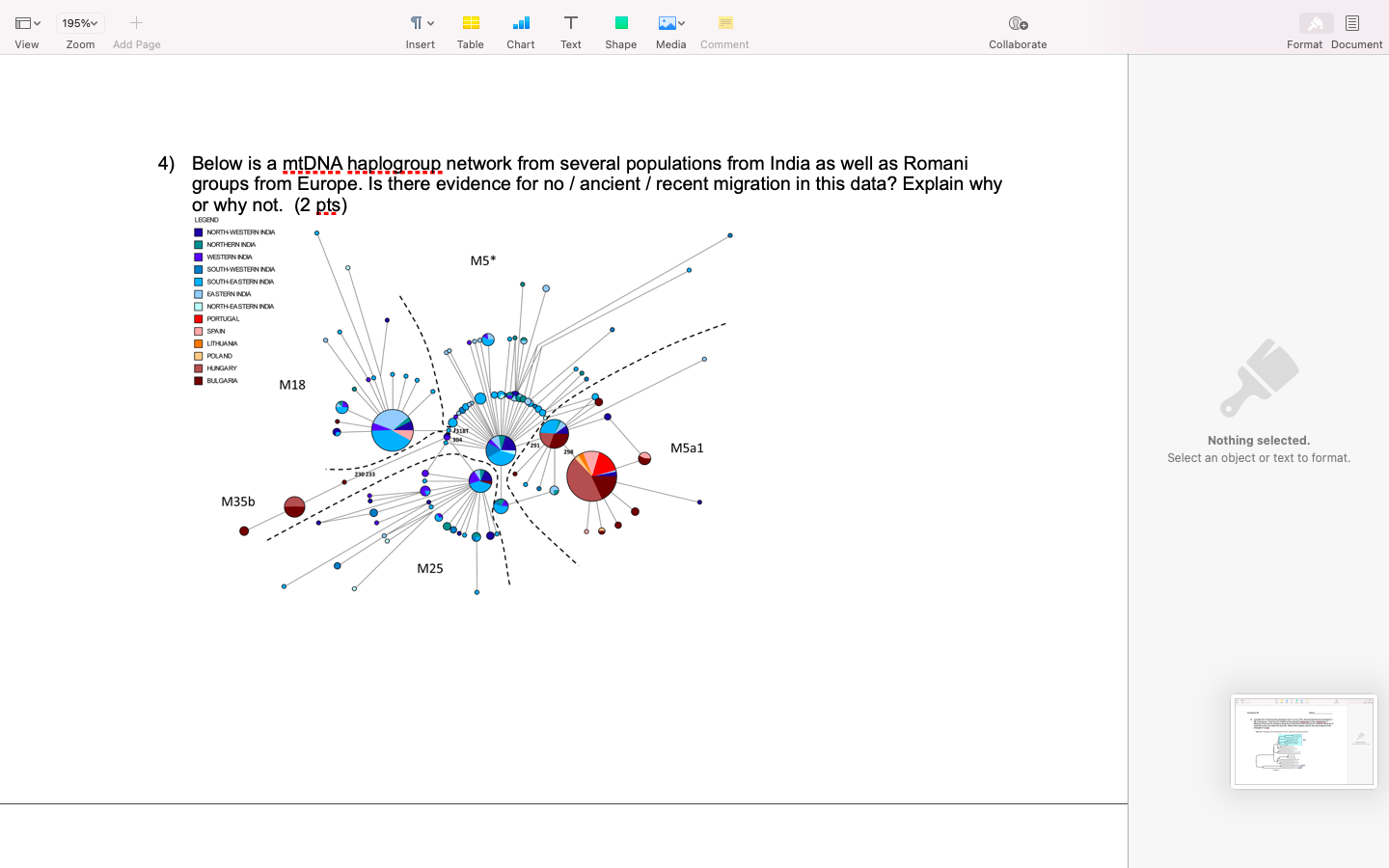 4) Below is a mtDNA haplogroup network from several