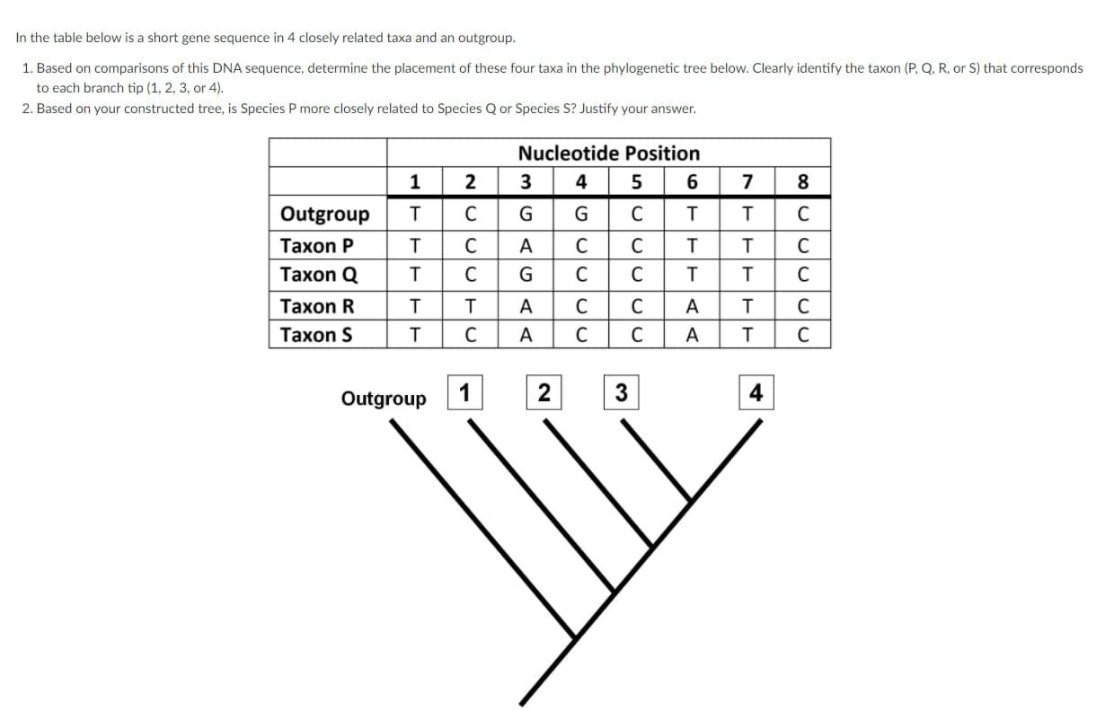 Solved In the table below is a short gene sequence in 4 | Chegg.com