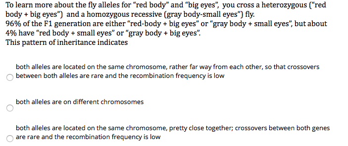 Featured image of post Big Eyes Vs Small Eyes Genetics