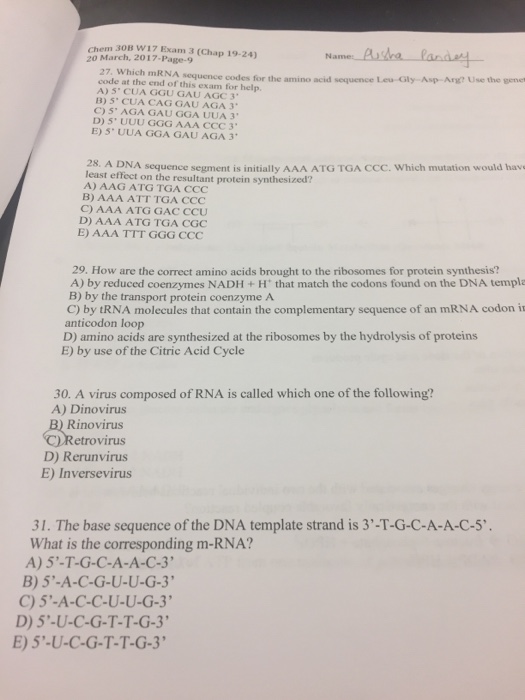 Solved: Which MRNA Sequence Codes For The Amino Acid Seque... | Chegg.com