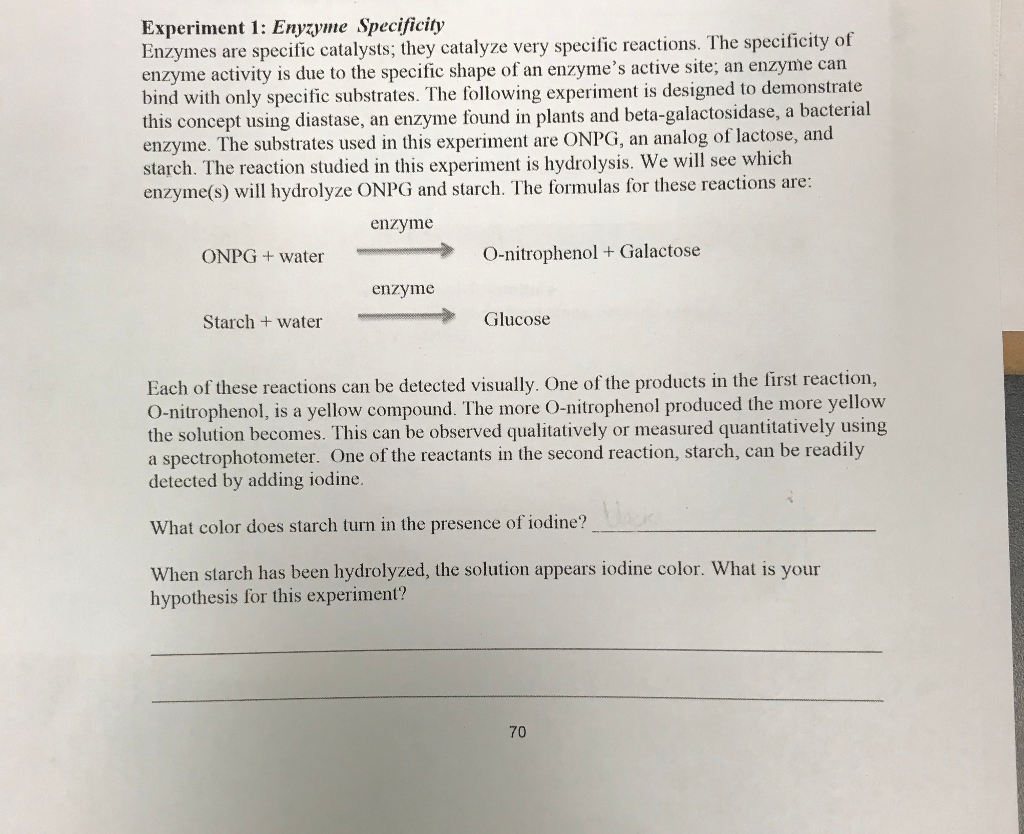 Solved Experiment 1: Enyzyme Specificity Enzymes are | Chegg.com