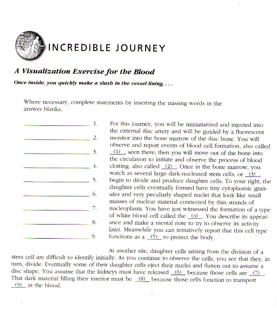 incredible journey a visualization exercise for the blood