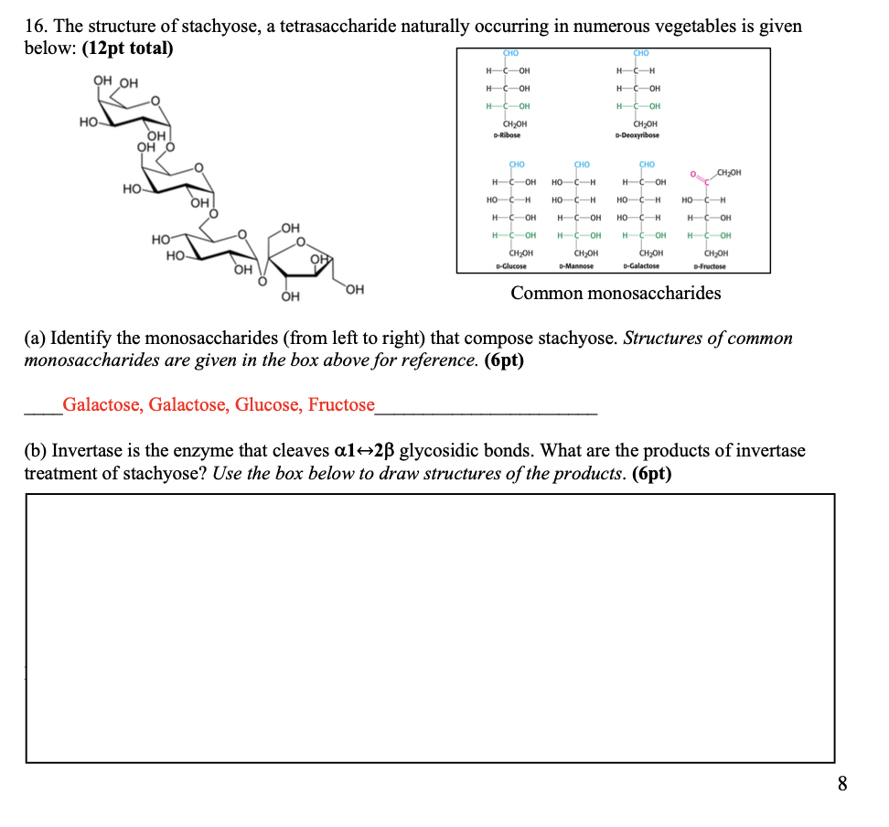 Solved 16. The structure of stachyose, a tetrasaccharide | Chegg.com