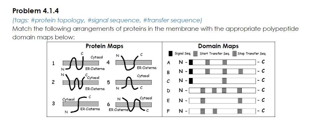 Solved Problem 4.1.4 (tags: #protein topology, #signal