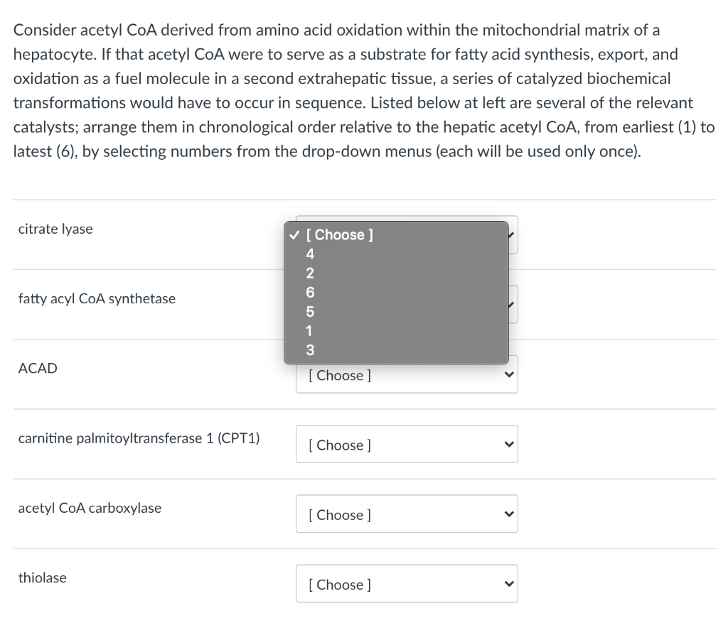 Solved Consider acetyl CoA derived from amino acid oxidation