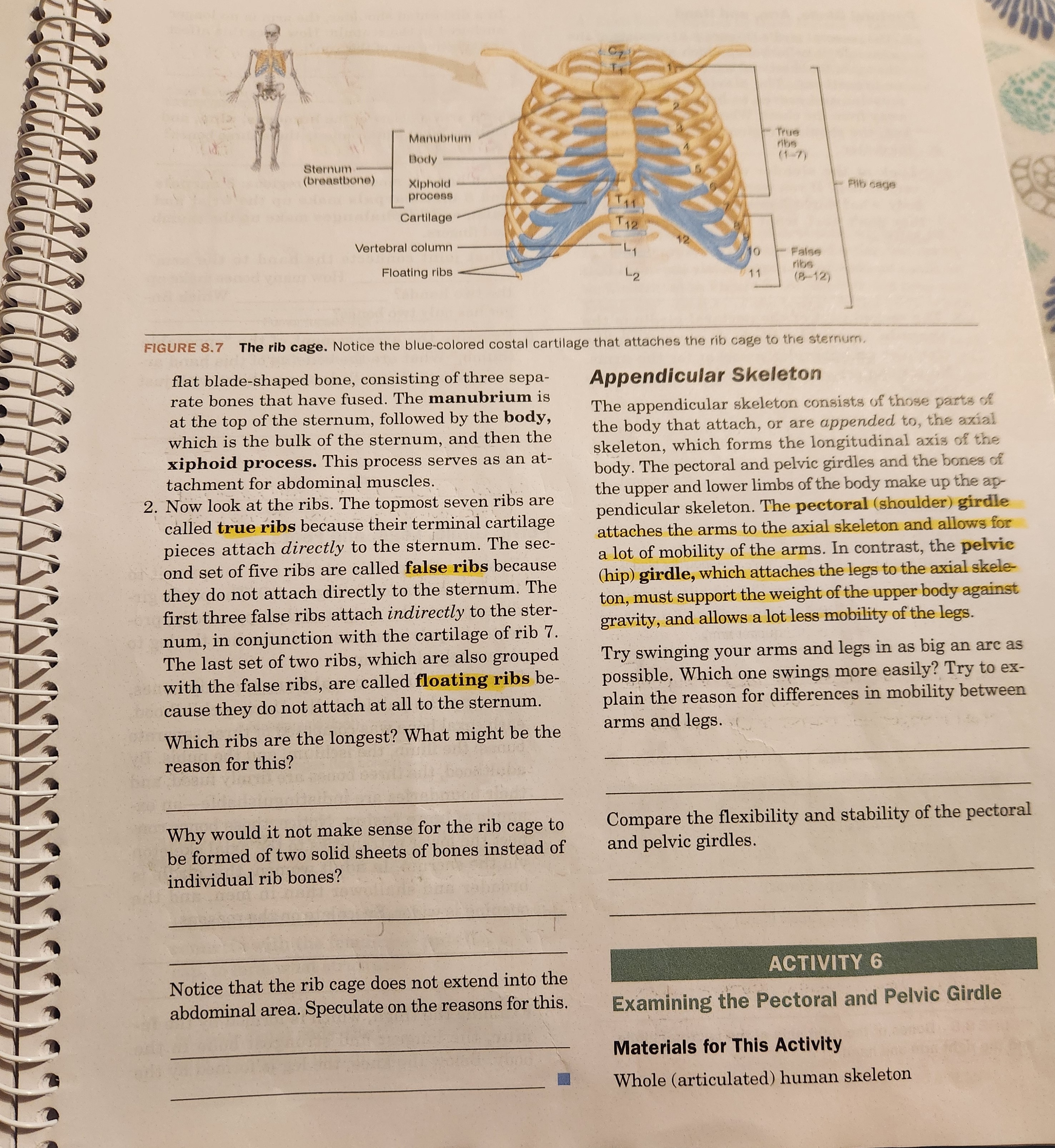 ANATOMY OF THE PECTORAL GIRDLE 