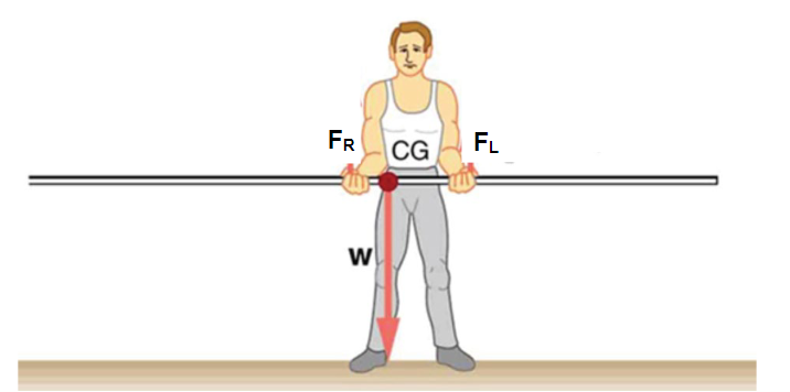 Solved Consider the above diagram of a pole-vaulter holding | Chegg.com