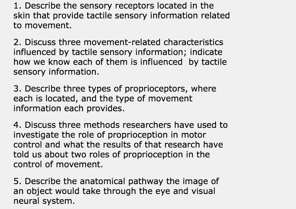 Proprioception Anatomy