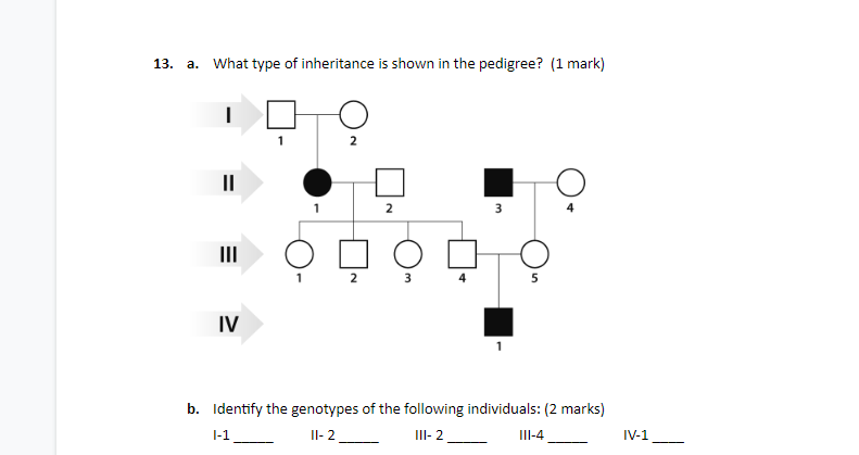 Solved 13. a. What type of inheritance is shown in the | Chegg.com