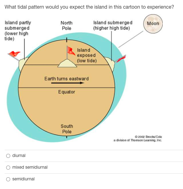 Solved What tidal pattern would you expect the island in | Chegg.com