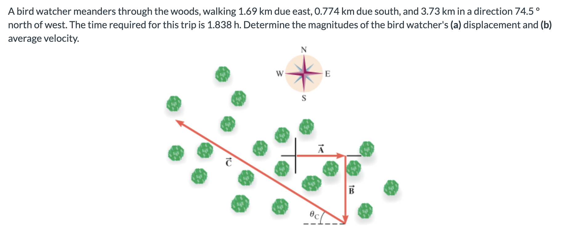 solved-a-bird-watcher-meanders-through-the-woods-walking-chegg