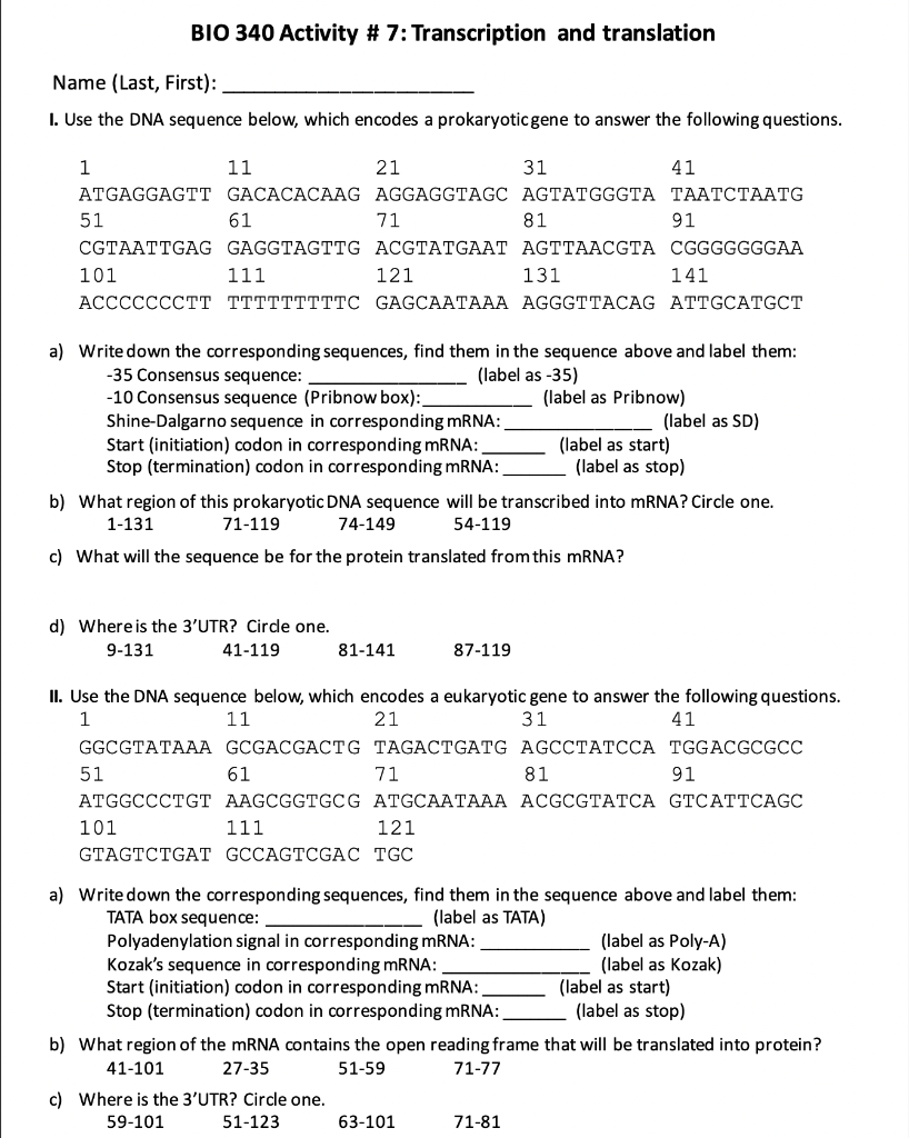 Solved BIO 340 Activity # 7: Transcription and translation | Chegg.com