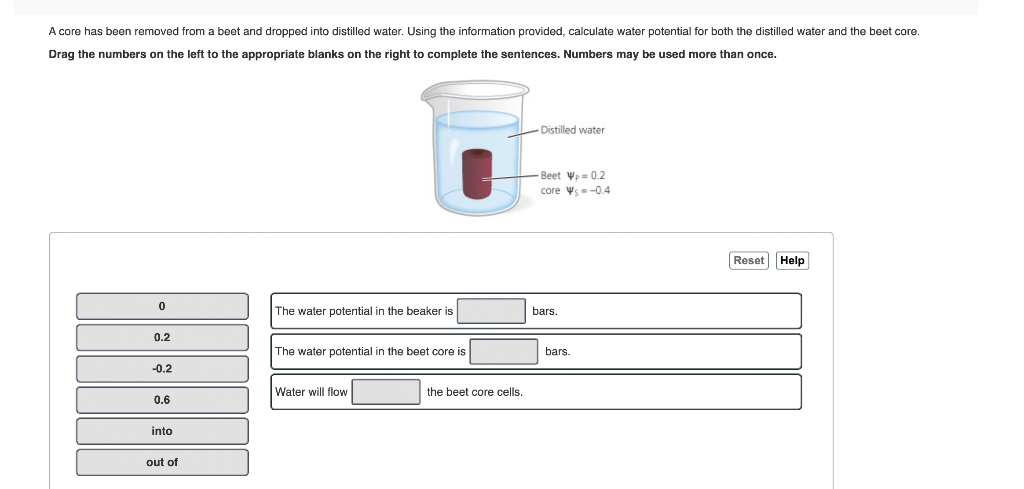 Solved A core has been removed from a beet and dropped into | Chegg.com